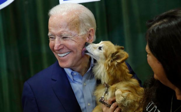Τα σκυλιά επιστρέφουν στον Λευκό Οίκο - Όλοι οι Πρόεδροι είχαν κατοικίδια εκτός από τον Τραμπ - Κόσμος | News 24/7
