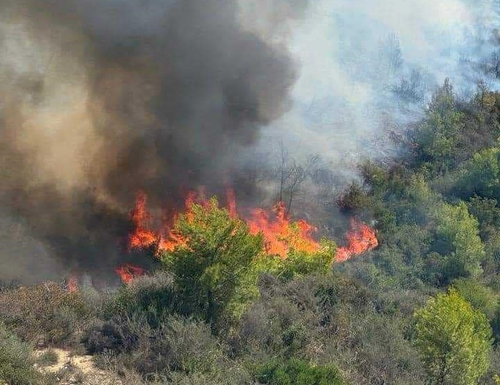 Τραυματίας πυροσβέστης στη φωτιά του Γερακίου Αμαλιάδας