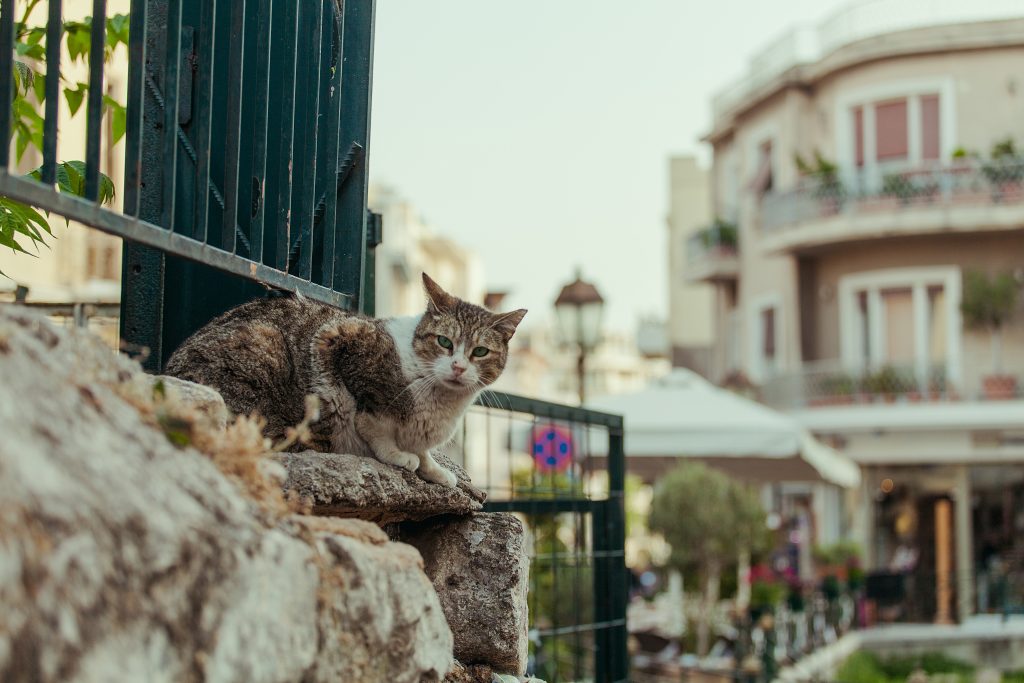 Δυσκολίες και προκλήσεις στους πεζούς της γραφικής Πλάκας